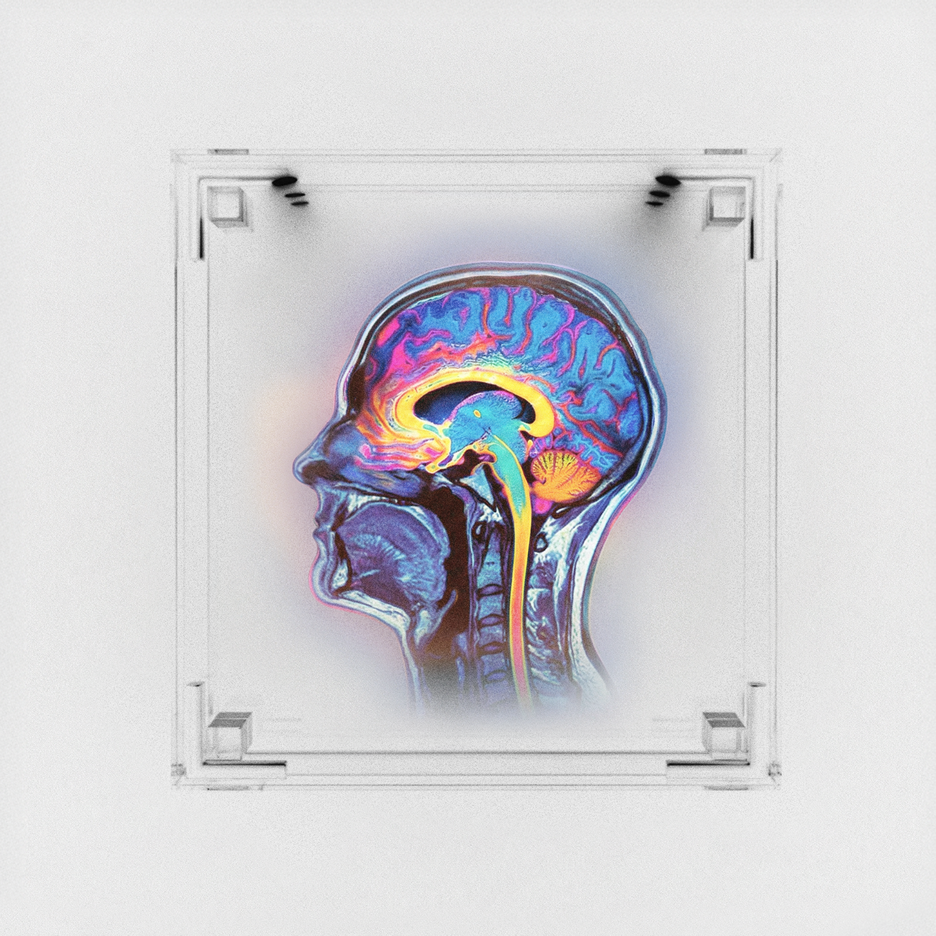 Rebirth CD DELUXE [Signed]